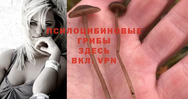 марки nbome Переславль-Залесский