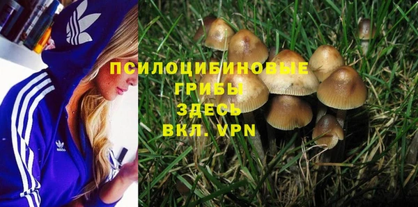 mdma Пересвет
