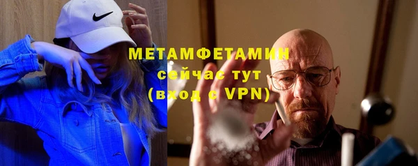 шишки Осинники