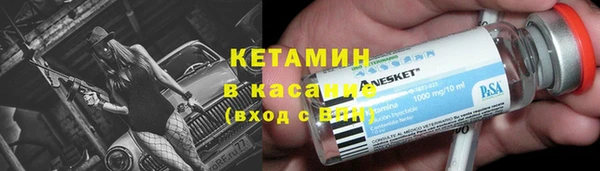 шишки Осинники