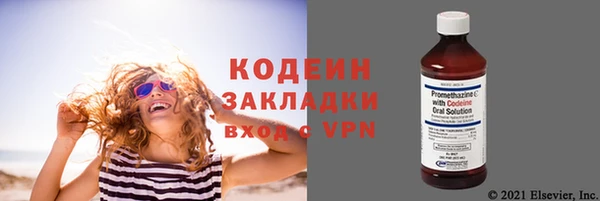 шишки Осинники