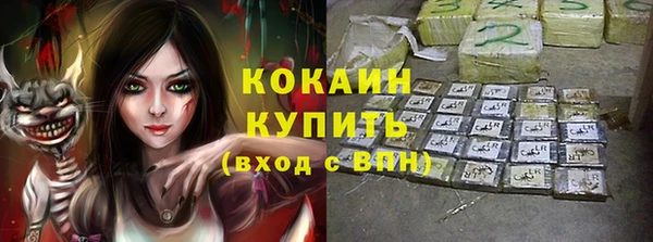 прущие грибы Грязи